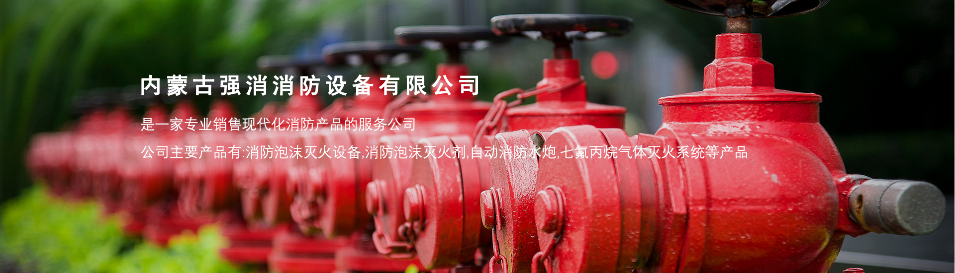 内蒙古强消消防设备有限公司